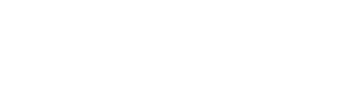 04 Bull